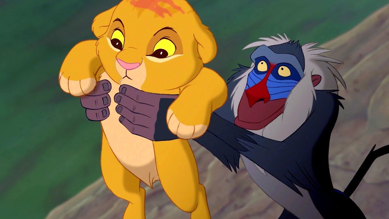 Simba is born